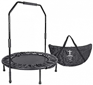 David Hall's Cellerciser Rebounder
