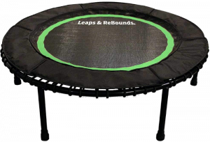 Leaps and ReBounds Bungee Rebounder